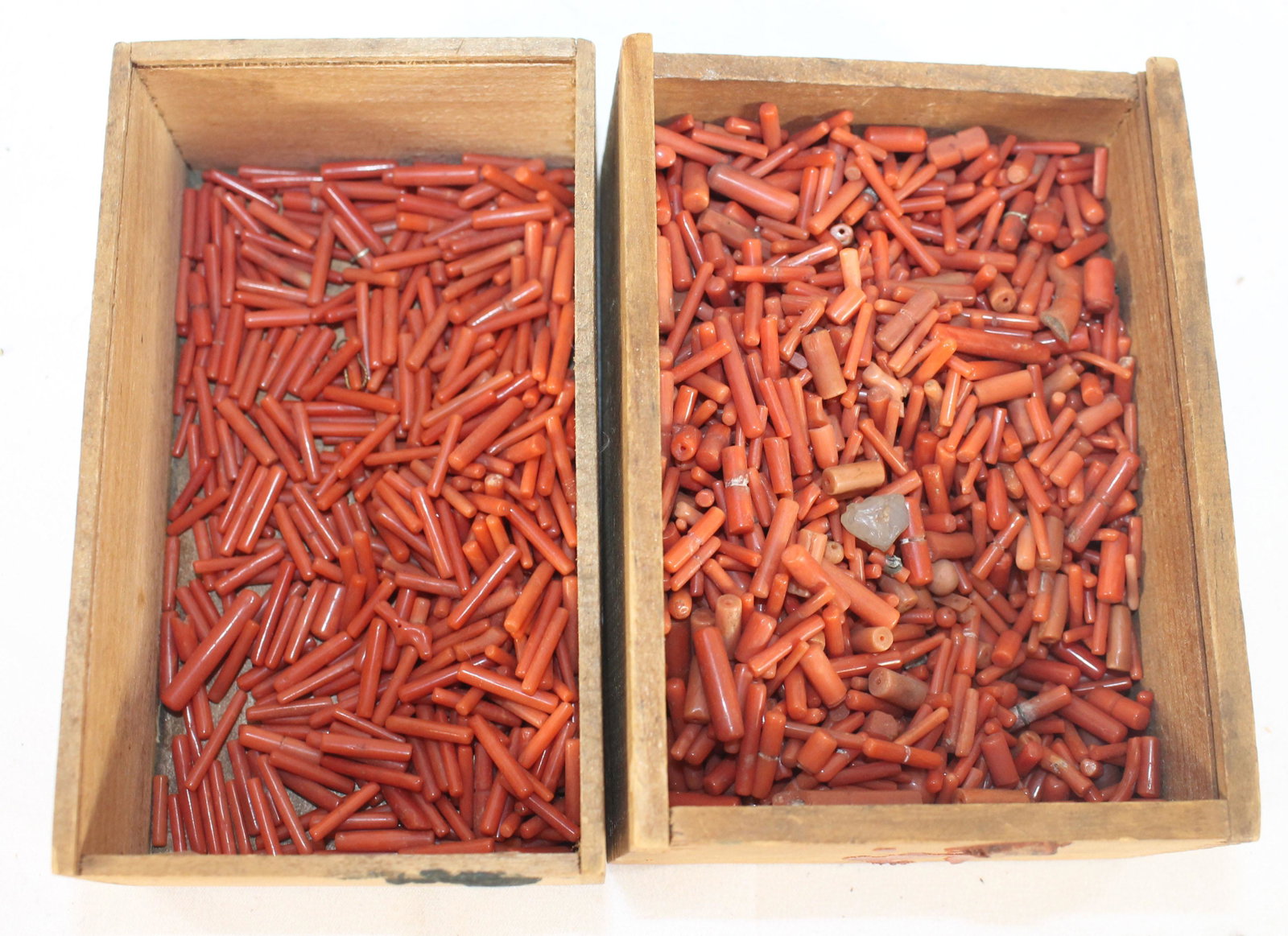 Lot of Asian undrilled coral pieces: Lot of Asian undrilled coral pieces