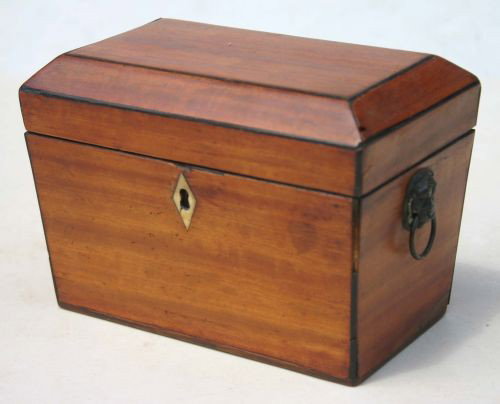 ca 1820 Regency period satinwood tea caddy w ebony: ca 1820 Regency period satinwood tea caddy w ebony line inlay & lion's head handles
