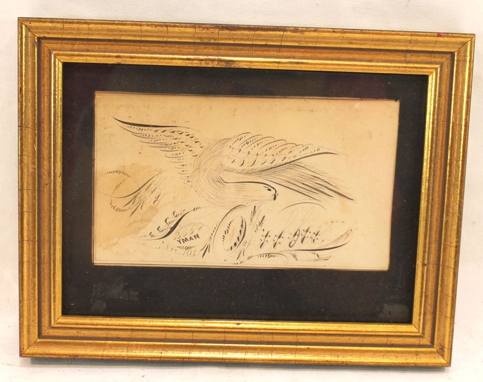 19thC pencil & ink drawing of an eagle "Mrs. Lyman Webber" & dated 1879 - 6 1/4"x8 1/4" overall (1 of 4)