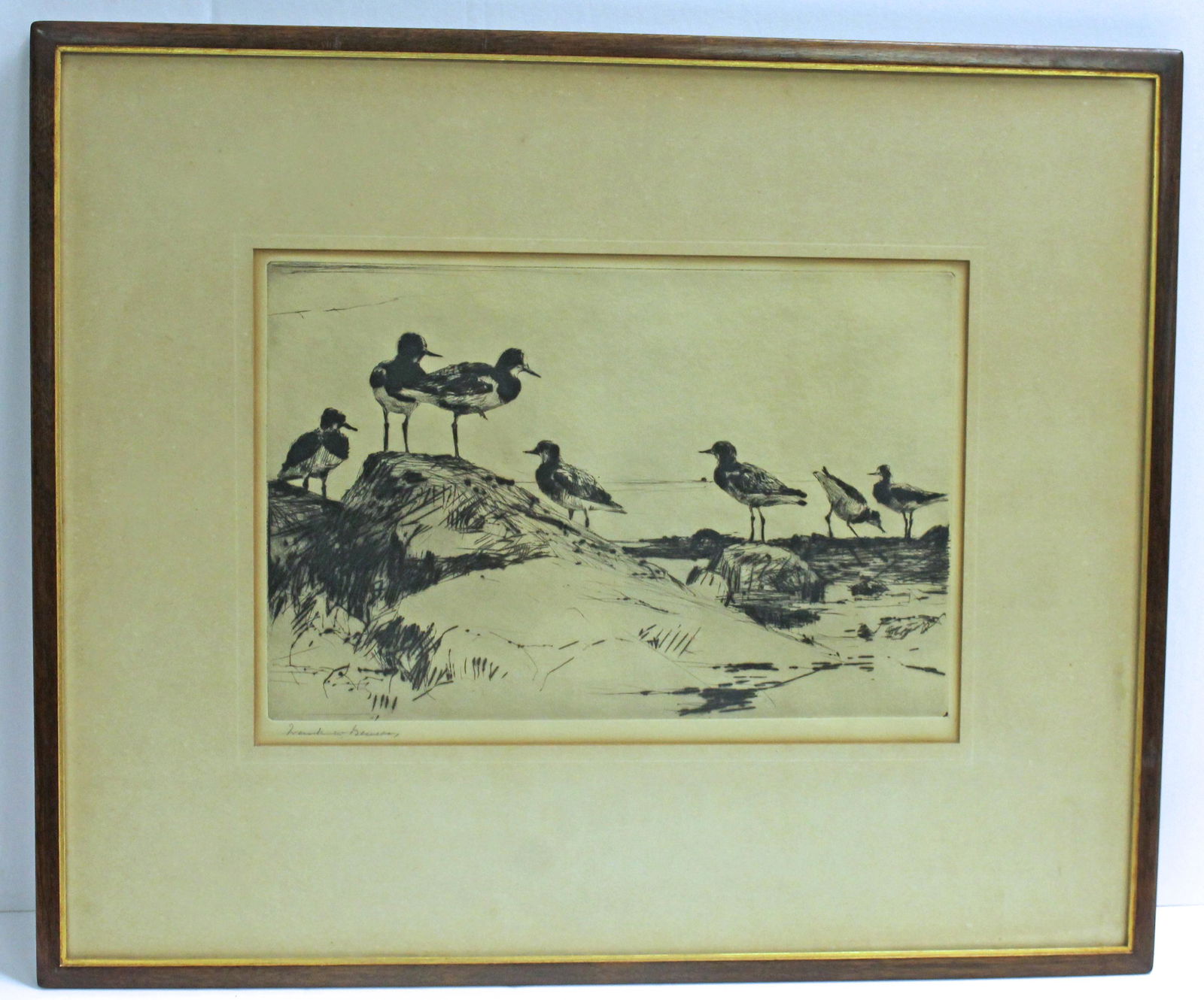 Frank Benson pencil signed etching of birds titled "Turnstones" on label on verso from The Casson (1 of 6)