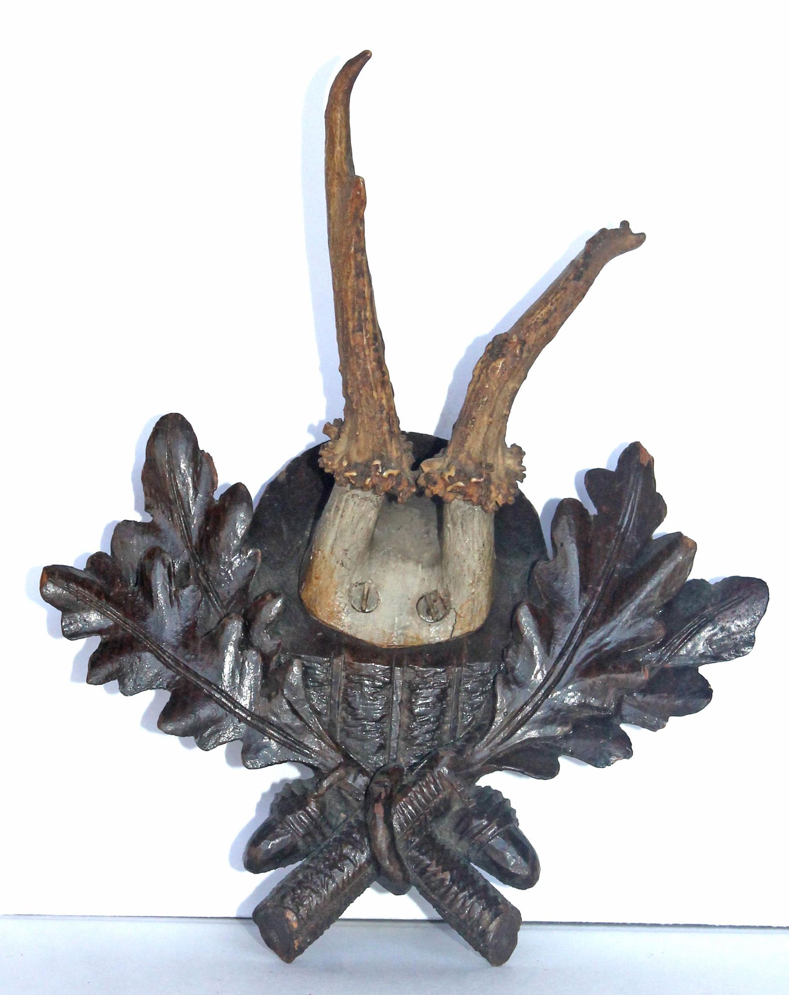 Antique Black Forest mounted trophy Roe Deer antlers - 7" total height (1 of 3)