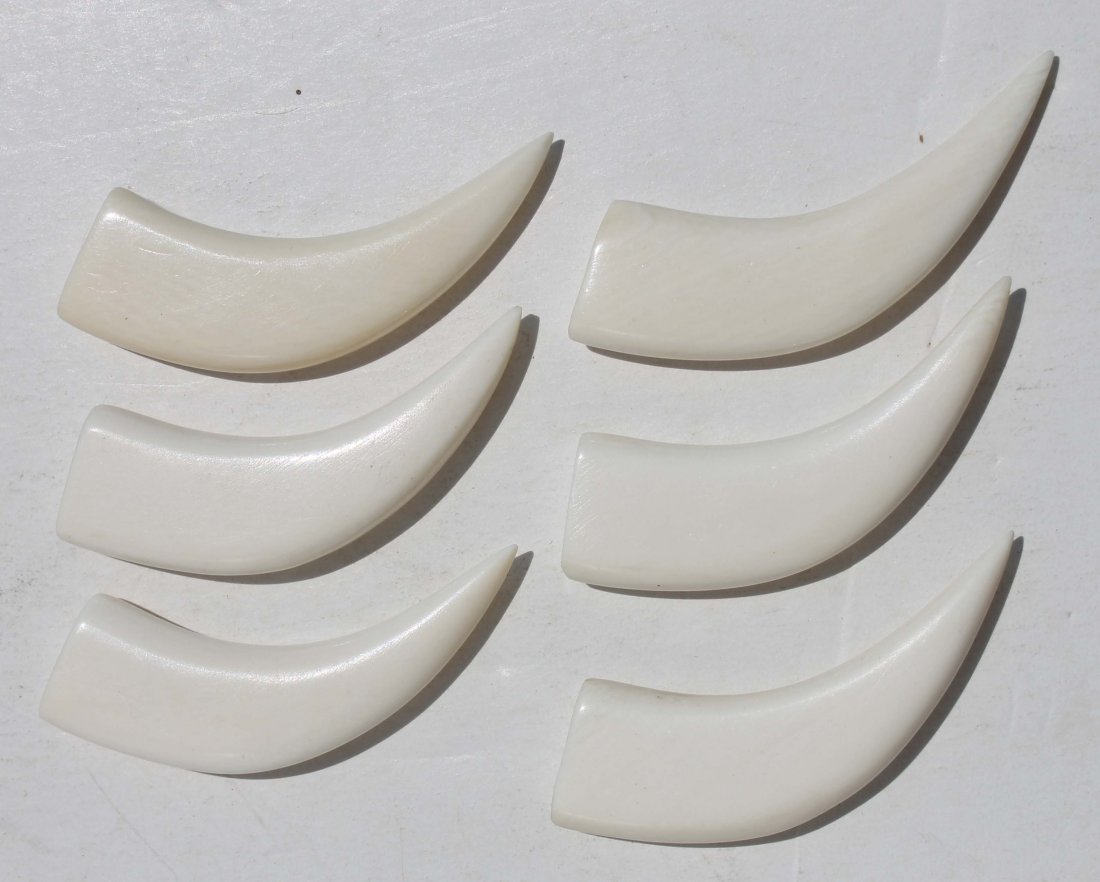 6 Chinese carved ivory boar's tusks shaped pieces : 6 Chinese carved ivory boar's tusks shaped pieces for jewelry making - approx 2 1/4"