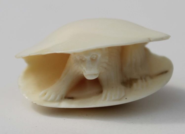 Japanese carved ivory netsuke clam shell w monkey : Japanese carved ivory netsuke clam shell w monkey - 1"x 3/4"