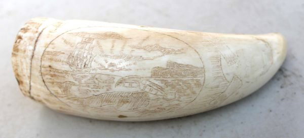 antique 4" whale's tooth w scrimshaw figure of a w: antique 4" whale's tooth w scrimshaw figure of a woman w whaling hunt scene inside her belly dec