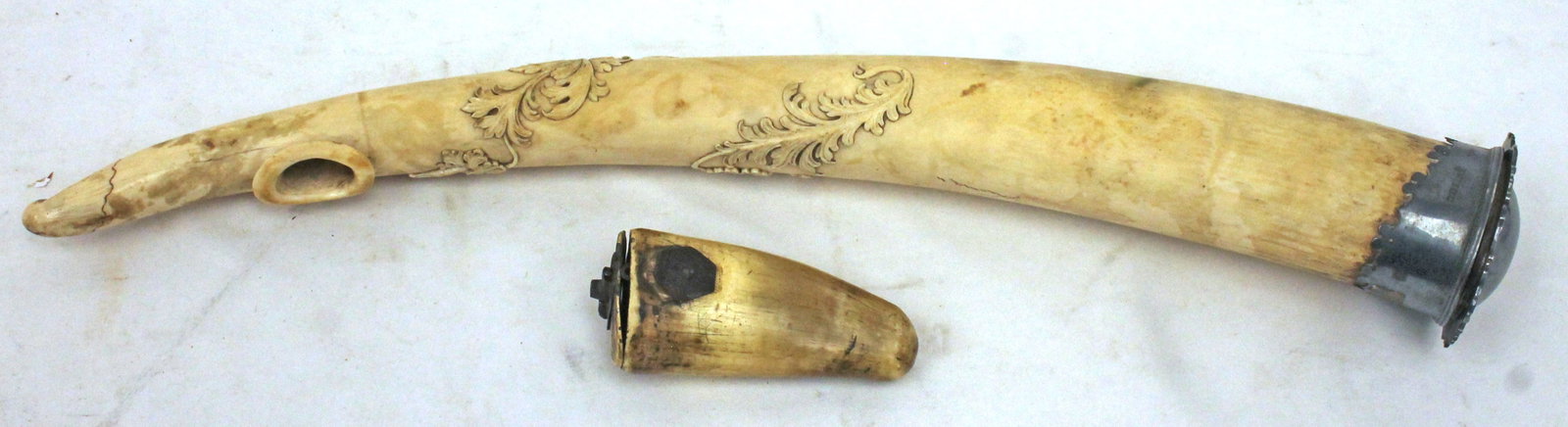 Antique bone powder horn w silver plate top - 20" long plus a horn snuff w silvered top - 4 1/2": Antique bone powder horn w silver plate top - 20" long plus a horn snuff w silvered top - 4 1/2"