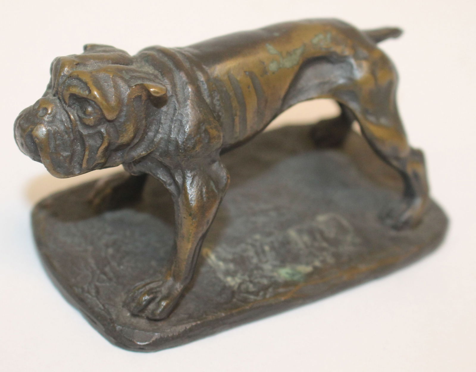 Bronze figural bulldog in the manner of Tiffany (signed but is not Tiffany) (1 of 5)