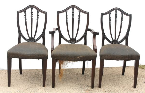 set of 3 period Hepplewhite ca 1800 MA mahog shiel: set of 3 period Hepplewhite ca 1800 MA mahog shield back chairs w rare orig horse hair upholstery - 39 1/2" tall