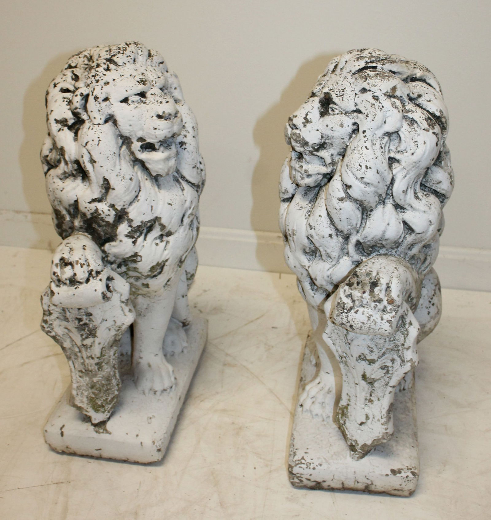 Pr of cement garden lions in white paint - 20" tall x 13" deep x 8" wide: Pr of cement garden lions in white paint - 20" tall x 13" deep x 8" wide