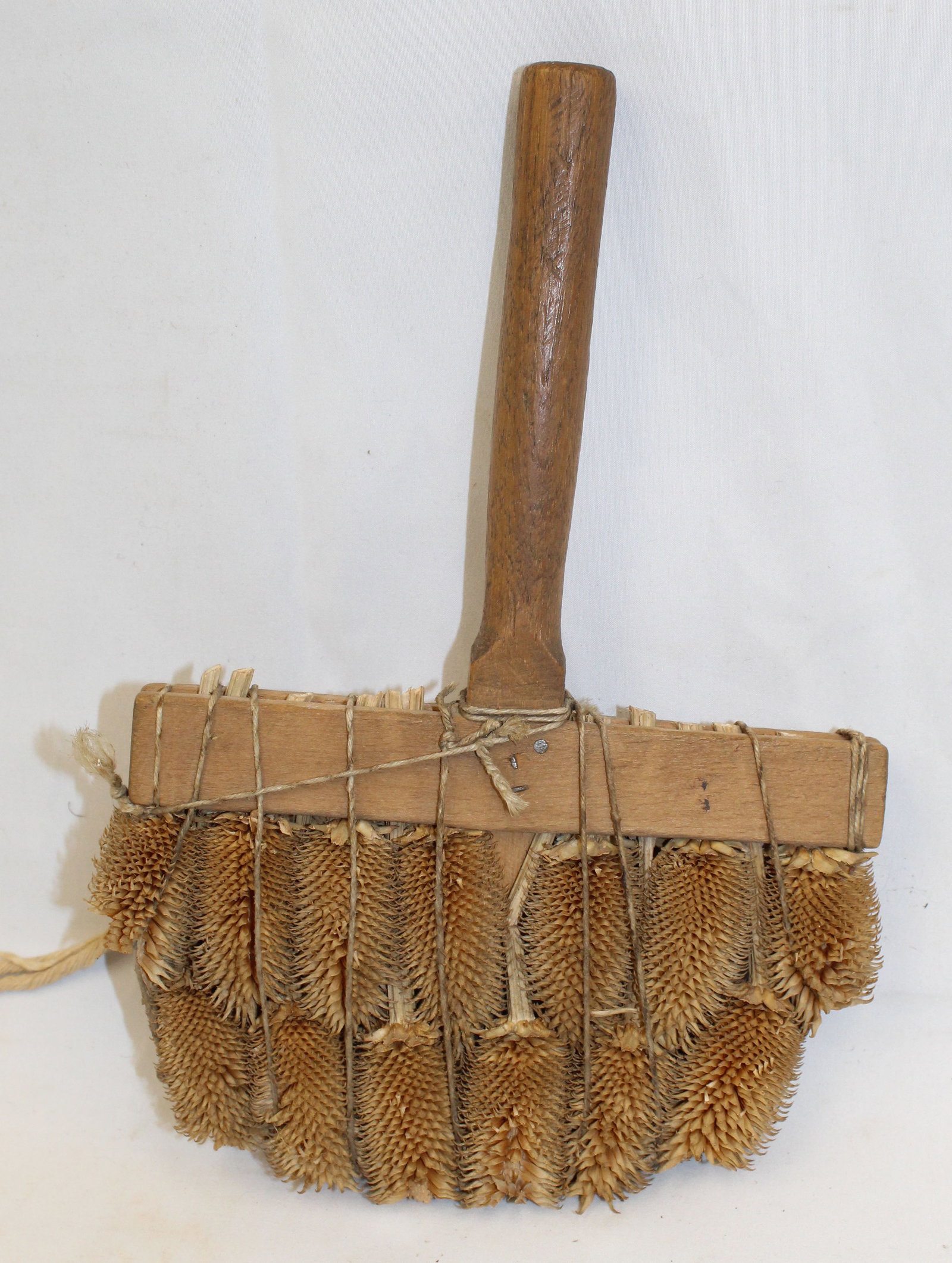 Interesting teasel carder - 11" tall x 7" wide: Interesting teasel carder - 11" tall x 7" wide