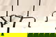 item-185511624=4
