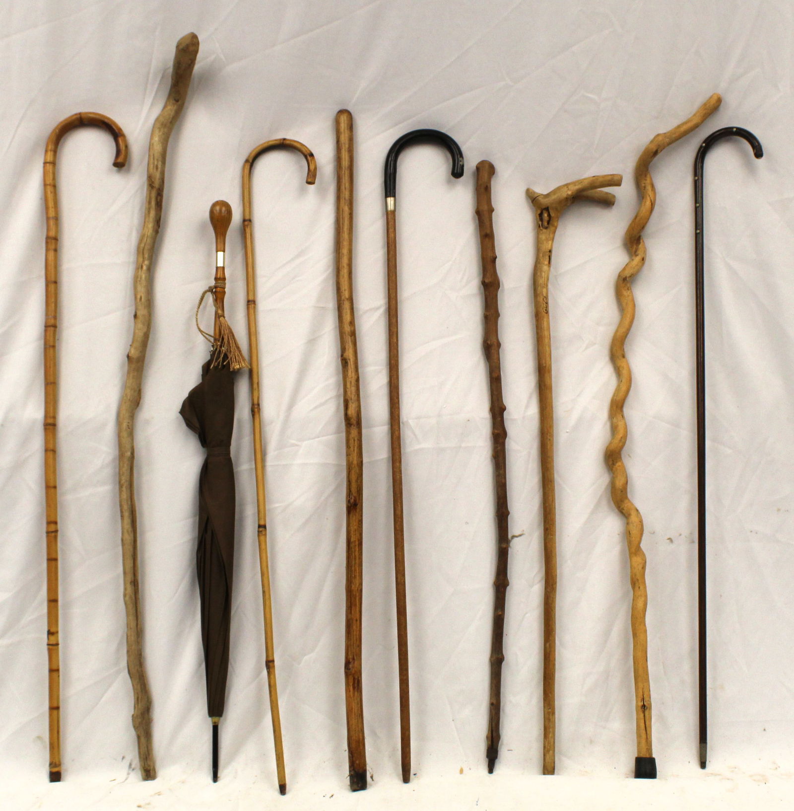 Lot of 9 canes/walking sticks plus an umbrella: Lot of 9 canes/walking sticks plus an umbrella