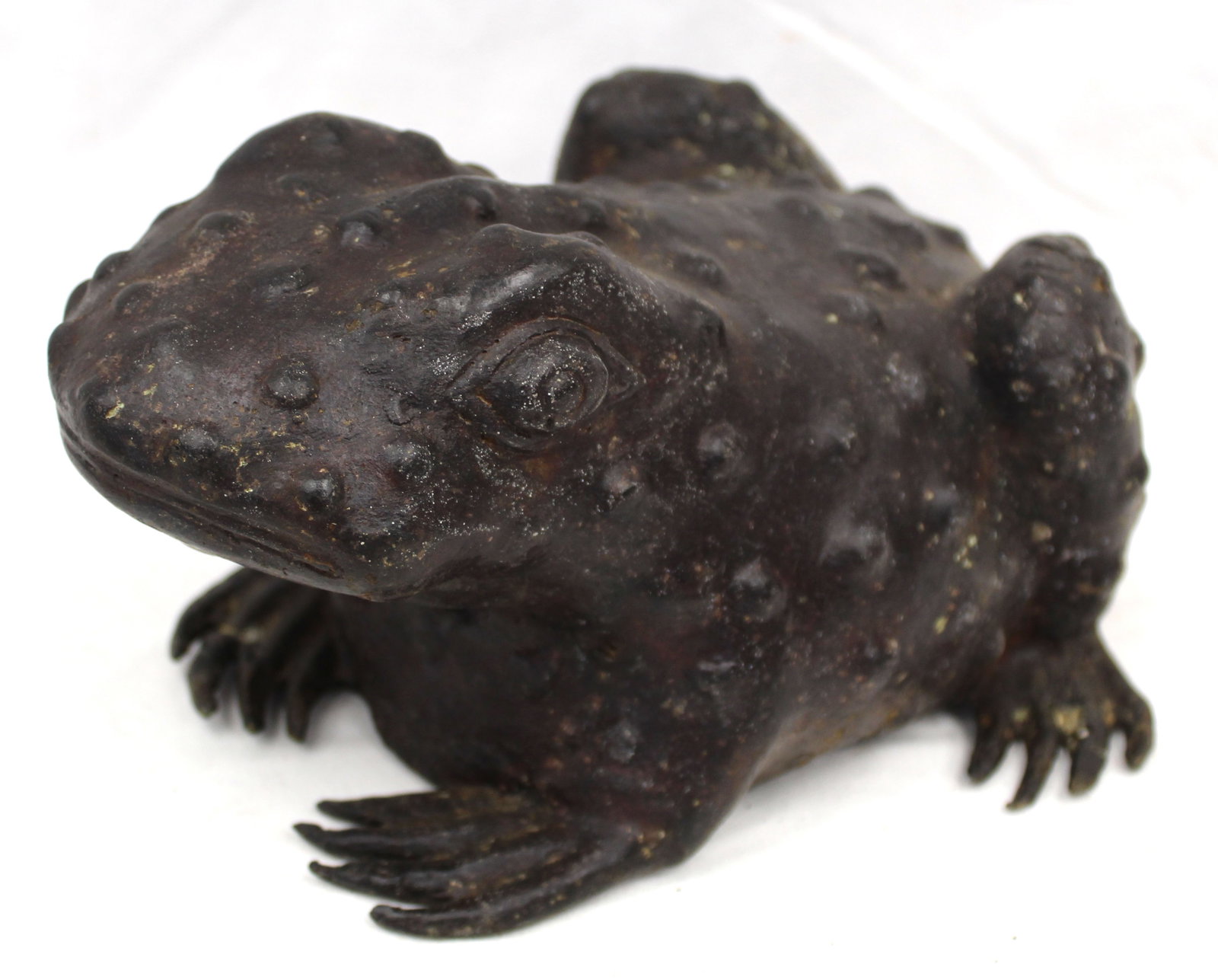 Cast bronze toad - 5"x8": Cast bronze toad - 5"x8"