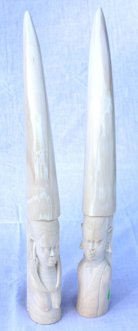 Magnificent pr of antique African ivory carved tus: Magnificent pr of antique African ivory carved tusks featuring bust carvings of a man a woman - 18"