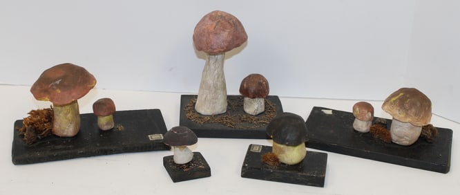 Group of German mushroom teaching models - 1 1/2"x2 1/2" smallest & 7 1/2"x6" largest