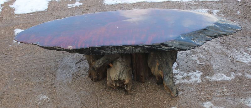 California redwood coffee table on root wood base - 56": California redwood coffee table on root wood base - 56" long