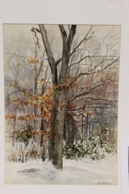 Signed Josephine K Deming unframed watercolor of a beech tree in winter - matted overall size 25"x19
