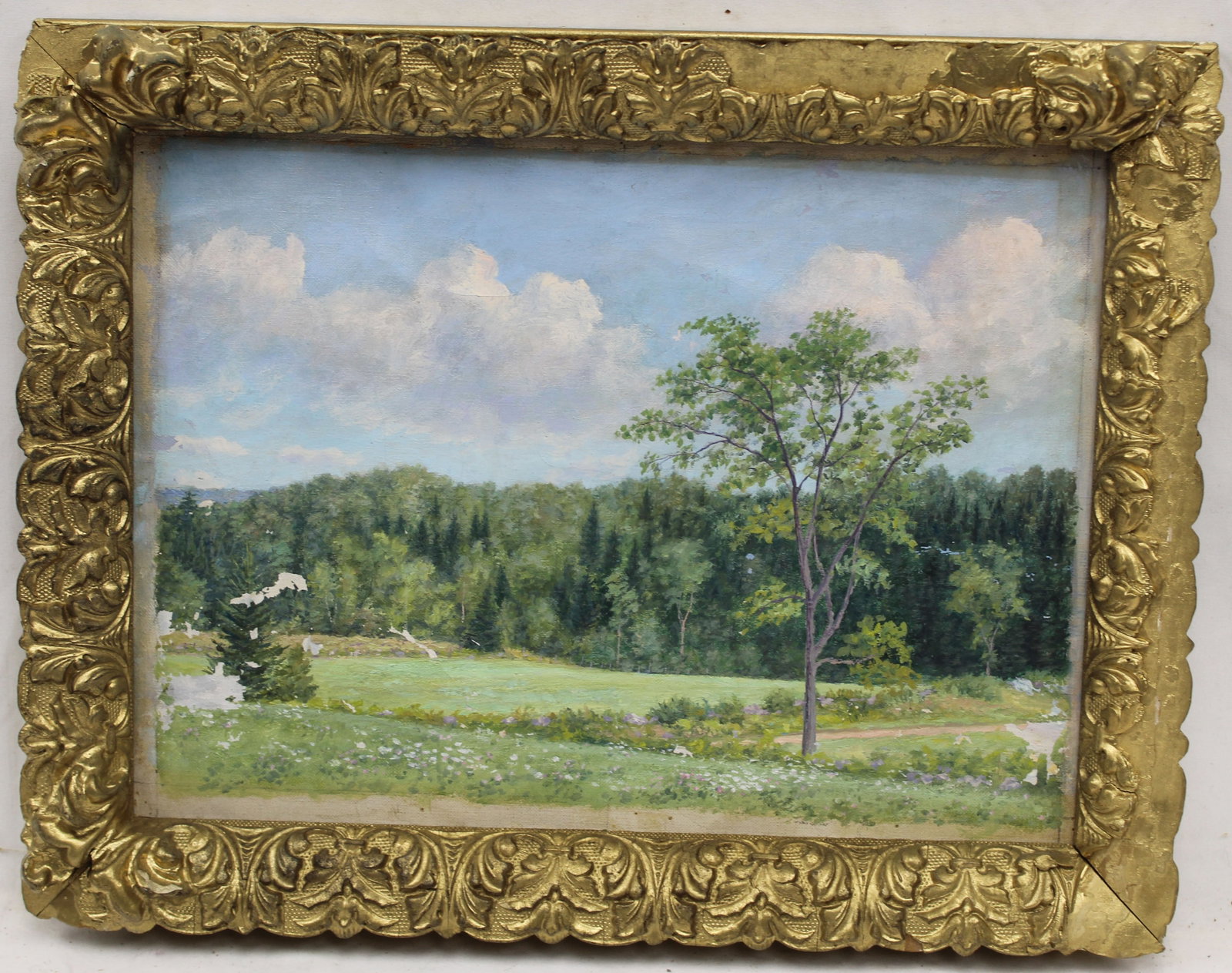 Unsigned oil on canvas summer landscape - as found - overall framed size 13 3/4"x17 3/4": Unsigned oil on canvas summer landscape - as found - overall framed size 13 3/4"x17 3/4"
