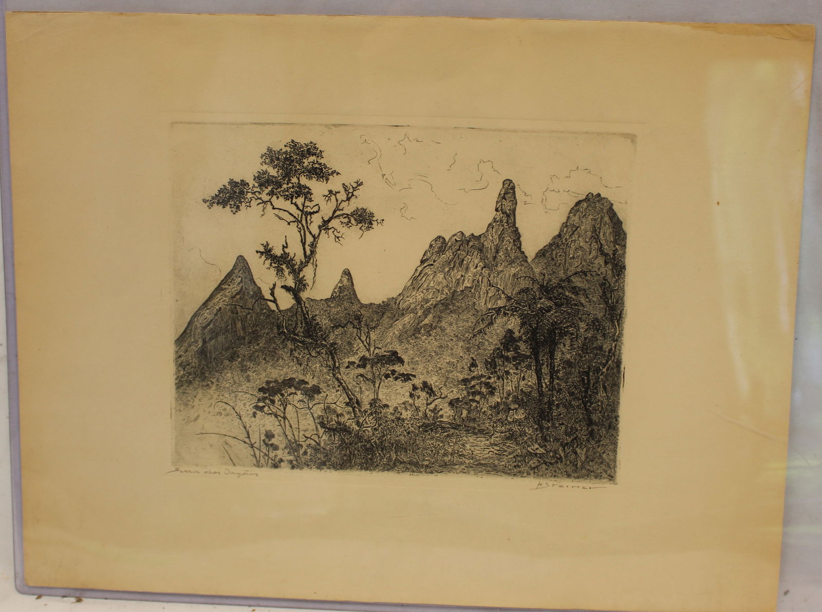 Pencil signed H.S. Reiner Brazilian engraving dated 1955 with Spanish inscription on verso - 13"x17": Pencil signed H.S. Reiner Brazilian engraving dated 1955 with Spanish inscription on verso - 13"x17"