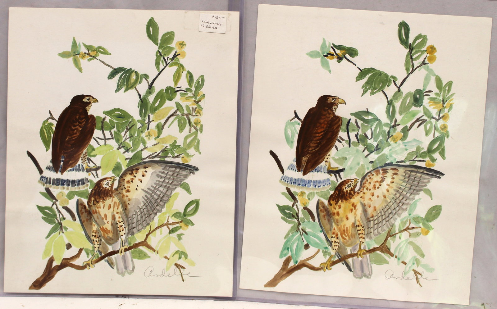 Lot of 2 signed Ardelle watercolors of the same subject - hawks on a leafy branch - unframed -: Lot of 2 signed Ardelle watercolors of the same subject - hawks on a leafy branch - unframed - 16"x13"