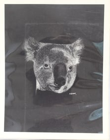 Pencil signed Mike Bigger #'d 10/50 print of a Koala bar - dated in the plate '74 - unframed - 28