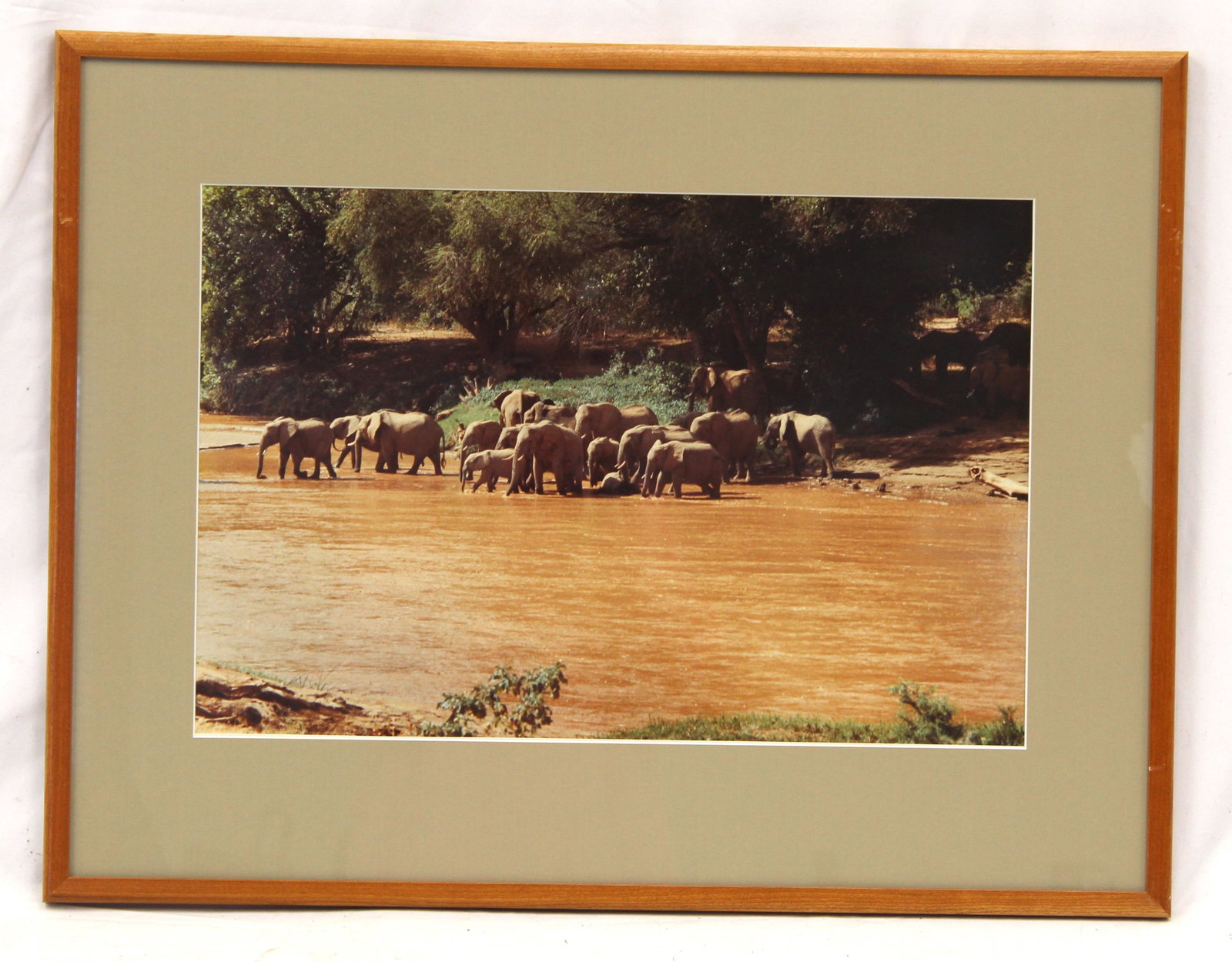 Framed photograph of elephants in the African Safari - This photograph was taken by the father of: Framed photograph of elephants in the African Safari - This photograph was taken by the father of the consignor when he visited the African Safari in the 1960's & 70's - overall framed size 20 1/4"x26