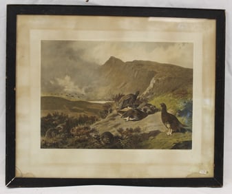 English engraving/print Archibald Thorburn of birds on a mountain - overall framed size 18 3/4"x22