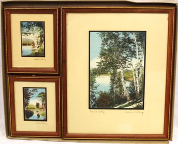 Set of 3 Wallace Nutting original boxed prints - largest is titled "A Birch Hilltop" - overall