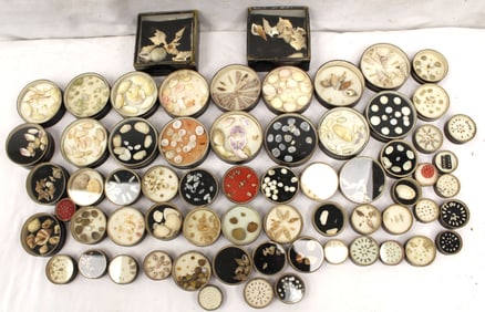 Large antique collection of shells in many round specimen cases -