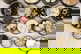 item-210869075=4