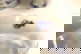item-210869112=3