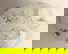 item-210869112=7