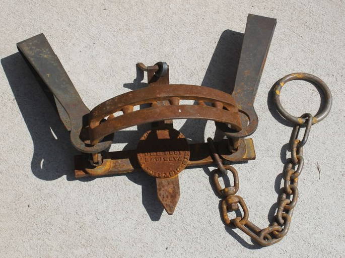 Large Antique Iron Bear Trap Marked Mackenzie District