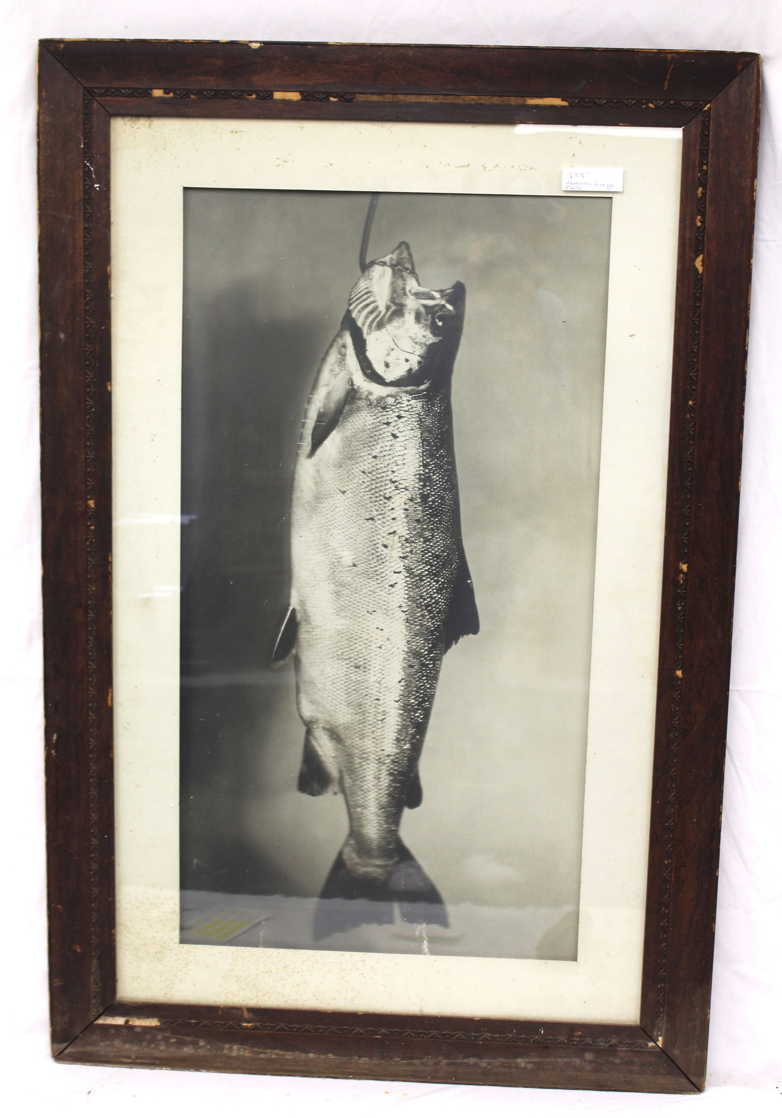 Large antique framed photo print of a fish on hook - overall framed size 45 1/2" x29 1/2" (1 of 6)