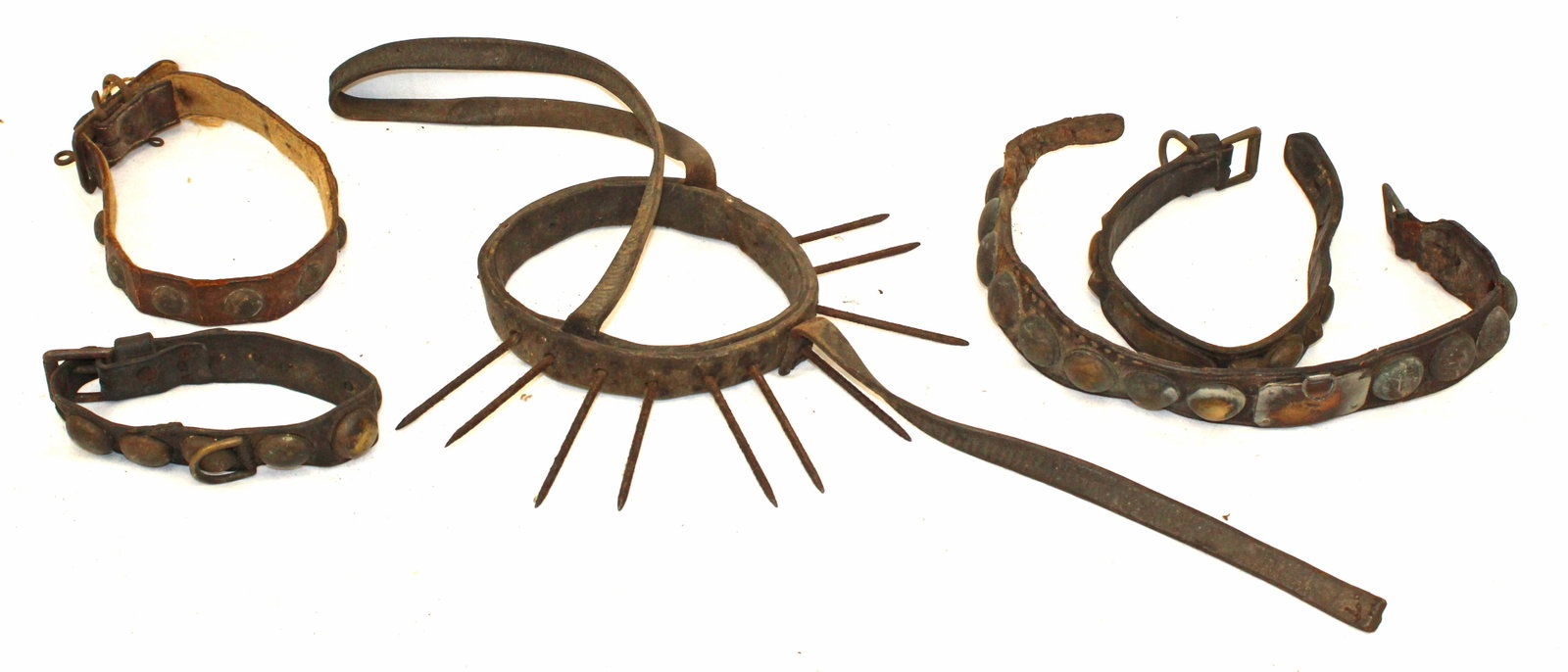Lot of 5 leather w metal collars & cow poke (1 of 6)