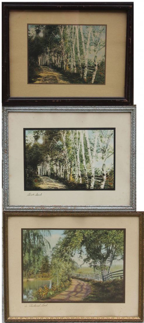3 attrib Wallace Nutting prints all titled - 2 "Birch: 3 attrib Wallace Nutting prints all titled - 2 "Birch Bend" & 1 "A Checkered Road" - 11 3/4" x 14 3/4" , 11"x14", & 10 1/4" x 13 1/2"- 2 in orig frames