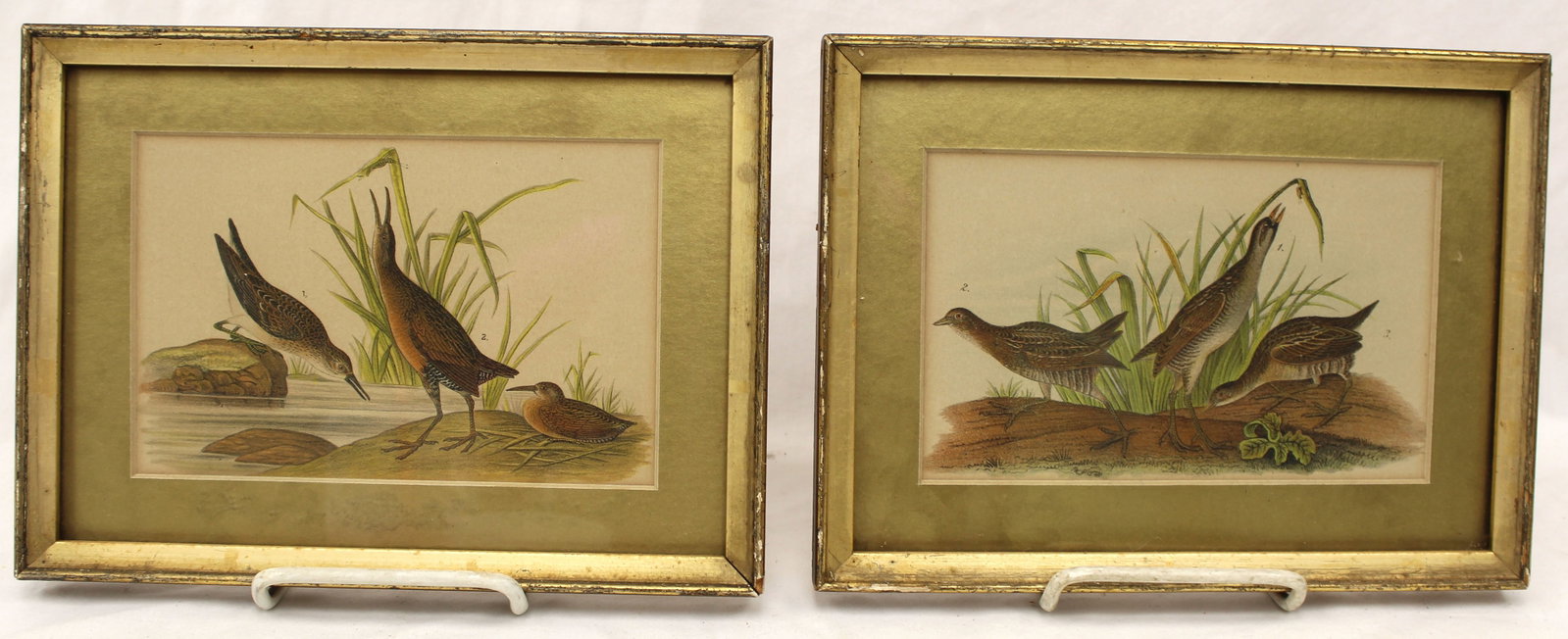 Lot of 2 hand colored prints of birds - overall framed size 7 3/4" x 9 3/4" (1 of 4)