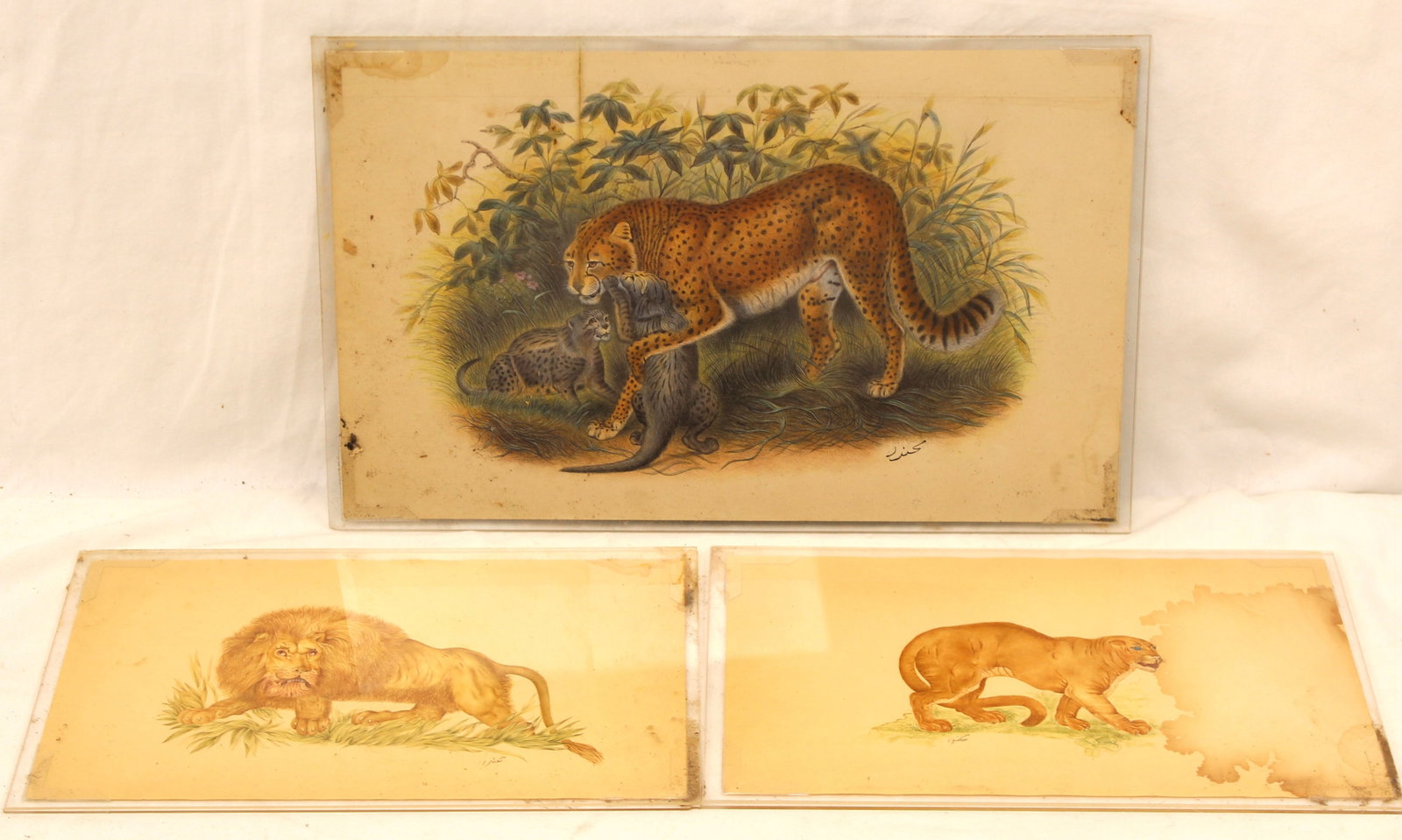 Lot of 3 w/c's signed Iris depicting a leopard & lions - unframed - largest 8"x13 1/2" & 2 smaller (1 of 12)
