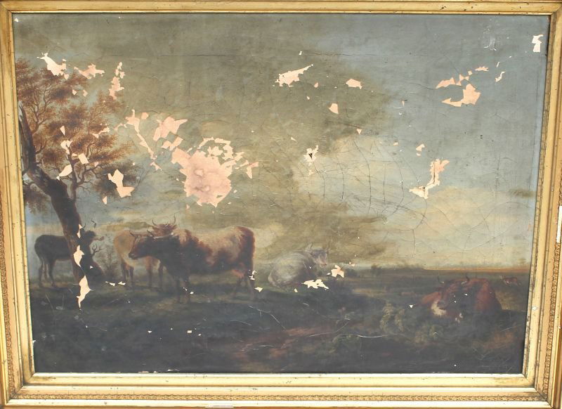 very early 18"x24" o/c featuring multiple cows in: very early 18"x24" o/c featuring multiple cows in landscape - this painting bears the very important signature of Paulus Potter (1625-1654) on stretcher verso & is also titled "Cattle and landscape" -