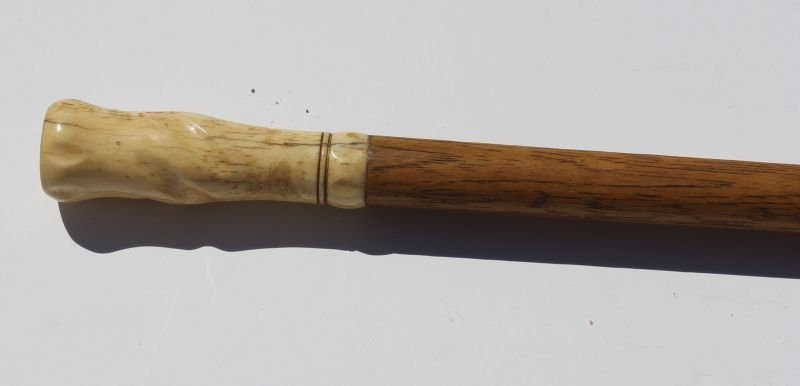 antique whale bone handled cane - 35" long: antique whale bone handled cane - 35" long