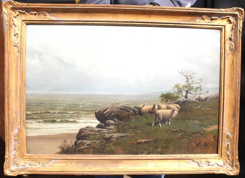 Charles Grant Davidson (sgnd CGD) (1820-1902) 16"x24": Charles Grant Davidson (sgnd CGD) (1820-1902) 16"x24" o/c pastoral scene w sheep on bluff overlooking ocean - Private Collection