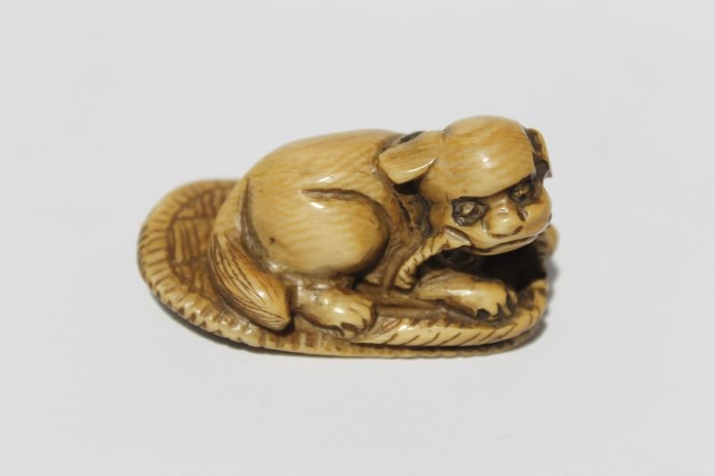Asian carved stained ivory pup on pillow netsuke - sgnd: Asian carved stained ivory pup on pillow netsuke - sgnd
