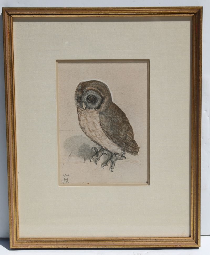 Albrecht Durer framed & matted print of an owl -: Albrecht Durer framed & matted print of an owl - Nuremburg Museum copy - sight size 7 1/2" x 5 1/2"