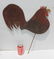 ca turn-of-the-century American orig polychrome paint - 2