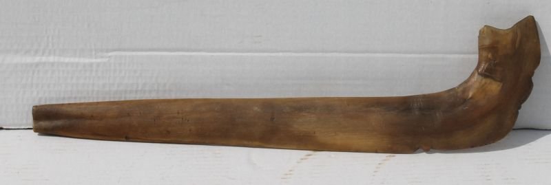 antique Jewish horn "shofar" - 18 1/2" long: antique Jewish horn "shofar" - 18 1/2" long