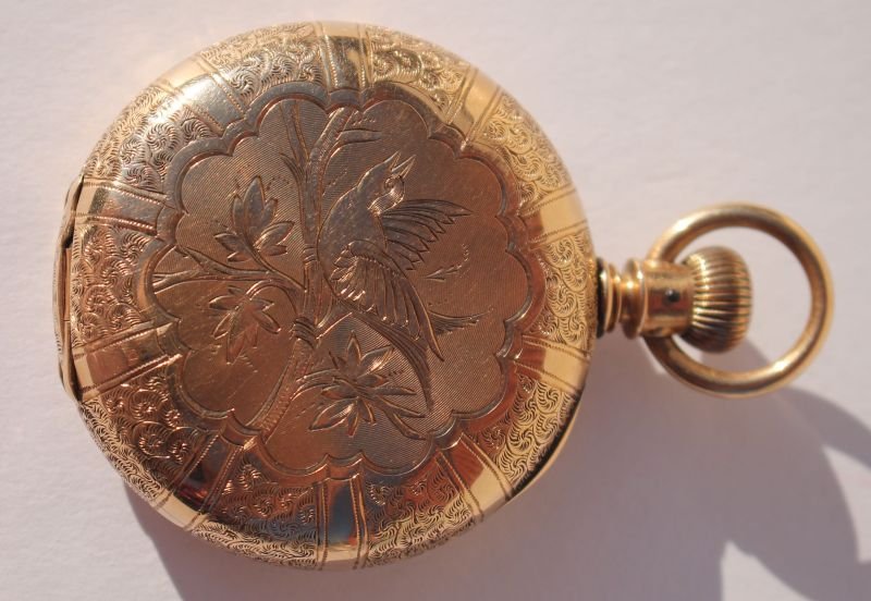 Parker & Davis (Bridgeport, CT) 14k gold Hunter's case (1 of 3)