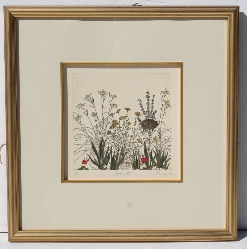 Nancy L Coleman hand colored ltd ed etching #2/25 (1 of 6)