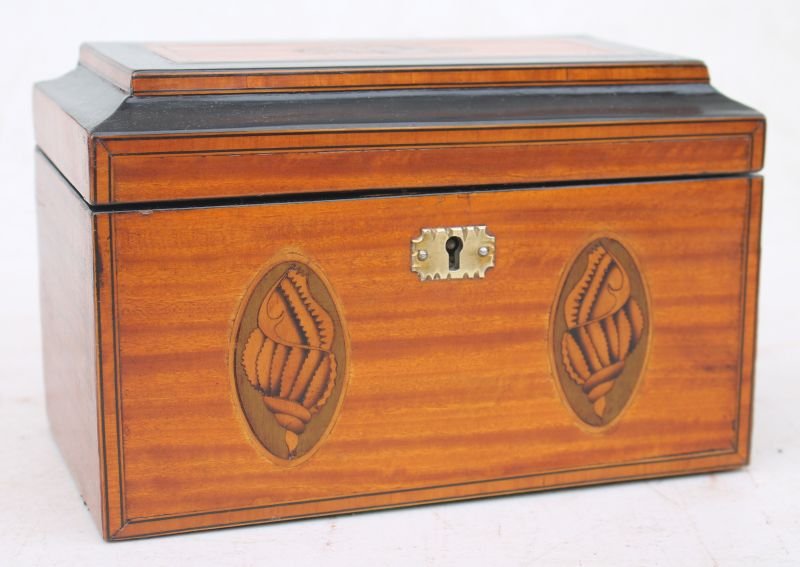 early 19thC satinwood tea caddy w conch shell inlays & (1 of 5)