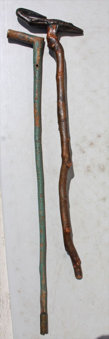 2 19thC canes - a crocodile handled 33" walking stick & (1 of 3)