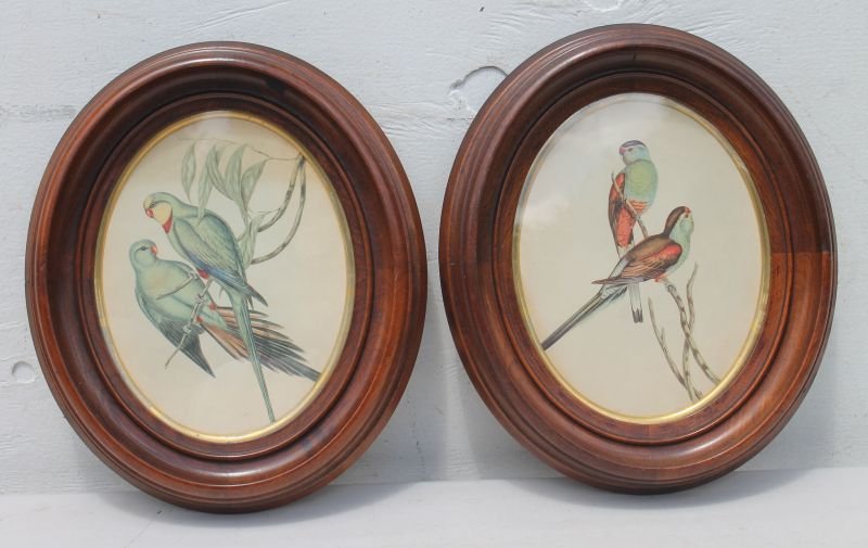 pr of desirable Vict walnut oval frames w gilt liners (1 of 2)