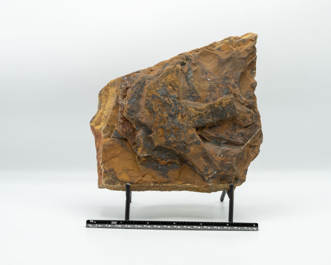 Unpolished Tiger's Eye Slab: Unpolished tiger's eye slab from India.